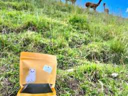 screenshot 2025-04-01 174804